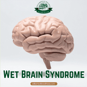 Wet Brain Syndrome