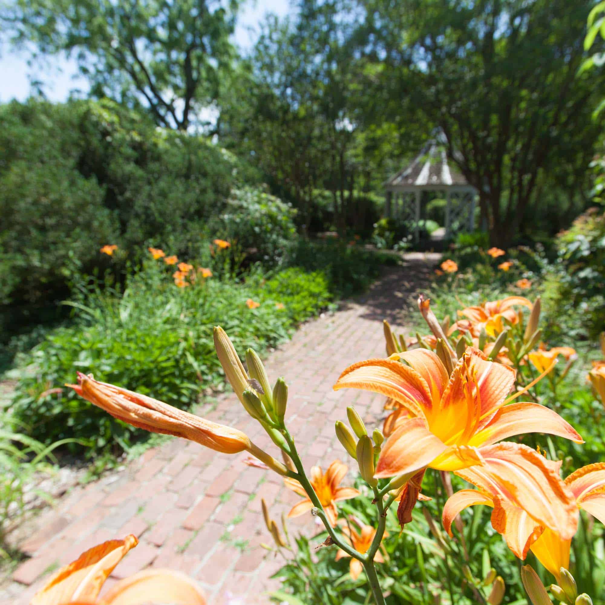 400+ Acres of Beautiful Country Scenery