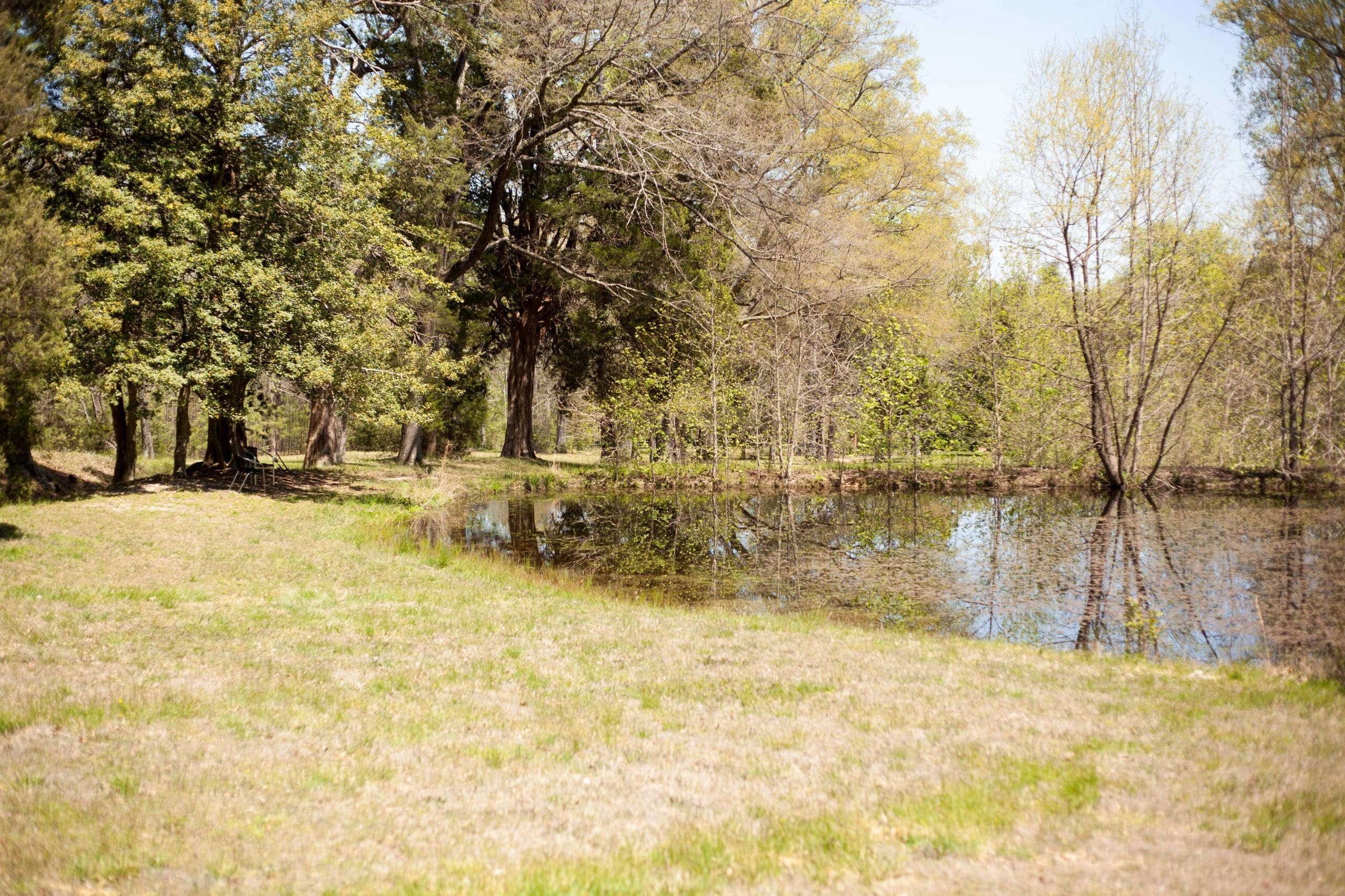 Fishing Pond